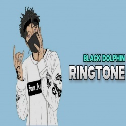 Black Dolphin Ringtone
