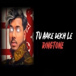 Tu Aake Dekh Le - King Ringtone